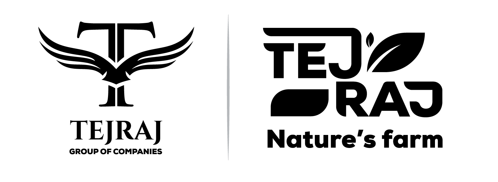 Tejraj Group Of Companies