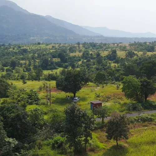 The Essence of Nature-Led Living